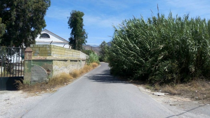 Estado del camino. // Foto: Partido Andalucista