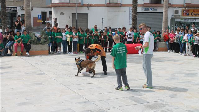 Una de las exhibiciones realizadas en la plaza Juan Carlos I.